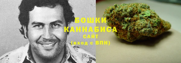 PSILOCYBIN Вязьма