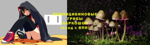 меф Вяземский