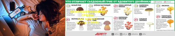 PSILOCYBIN Вязьма