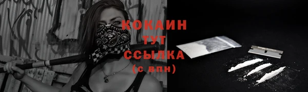 меф Вяземский