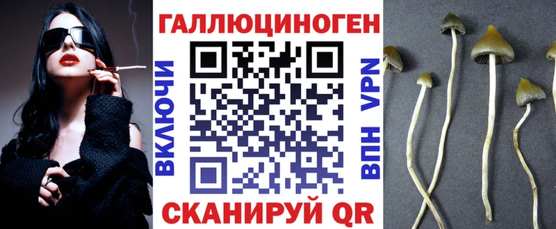 OMG как зайти  Приозерск  Псилоцибиновые грибы Cubensis 